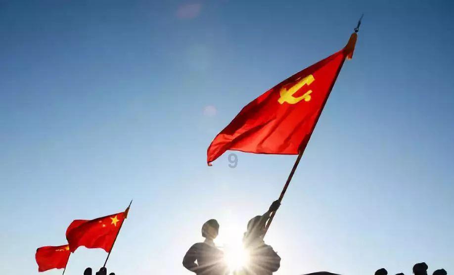 小猪仔要回家