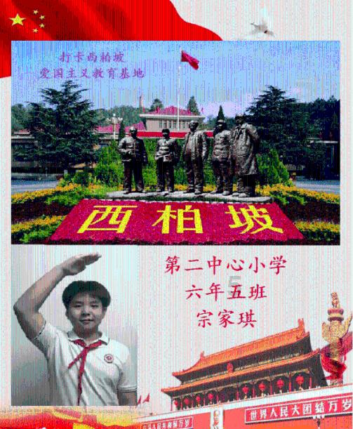 月光影视